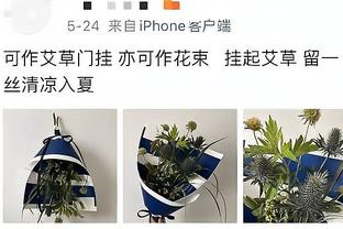 必威官方网址是什么截图4